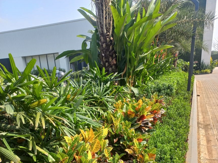 Greenscape Creation